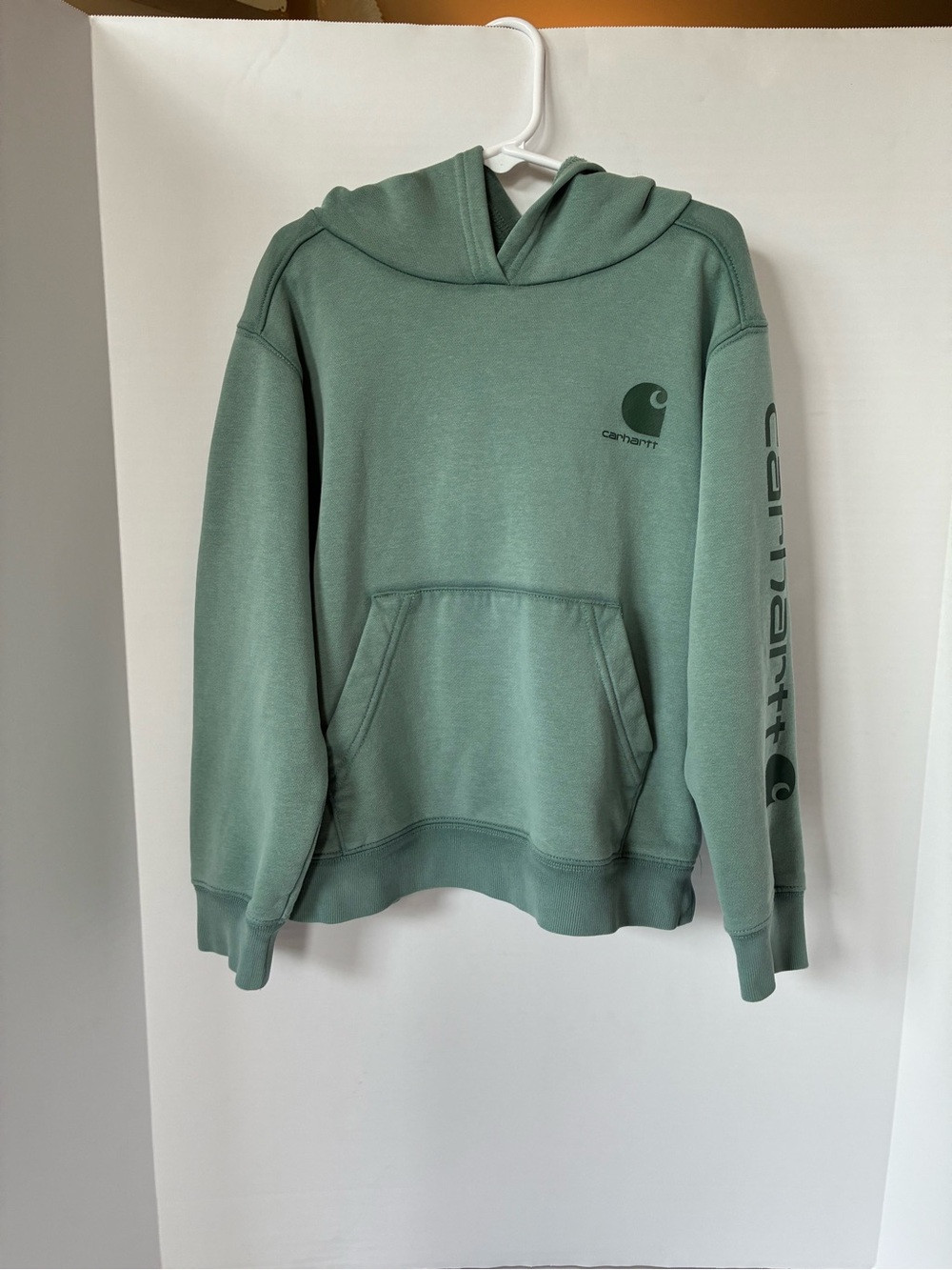 Boys CARHARTT Sweatshirt 6